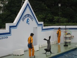 品川水族館に行ってきました♪_b0095306_8594258.jpg