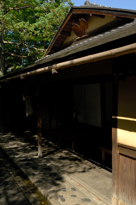 天気予報大ハズレ!岡崎・無鄰菴_f0032011_22364379.jpg