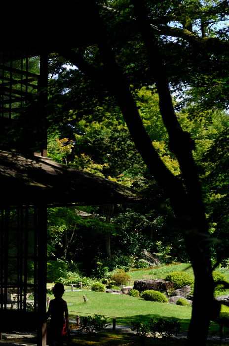 天気予報大ハズレ!岡崎・無鄰菴_f0032011_22384750.jpg