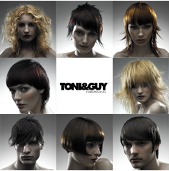 Toni Guy Swallowtail Toni Guy Swallowtail