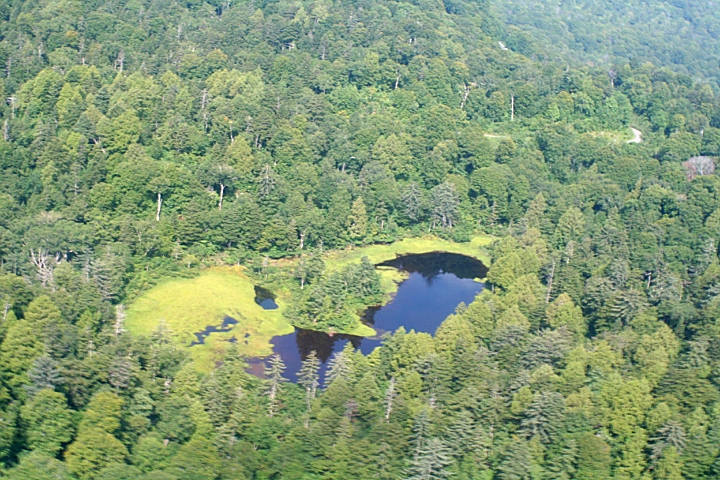 秋の長雨　尾瀬上空ヘリ飛べず_d0012134_14252599.jpg