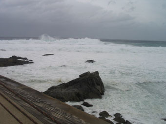 e0041337_1013511.jpg