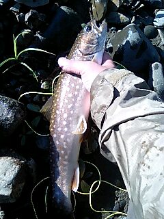 f0037063_11561126.jpg