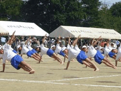 c0039376_119668.gif