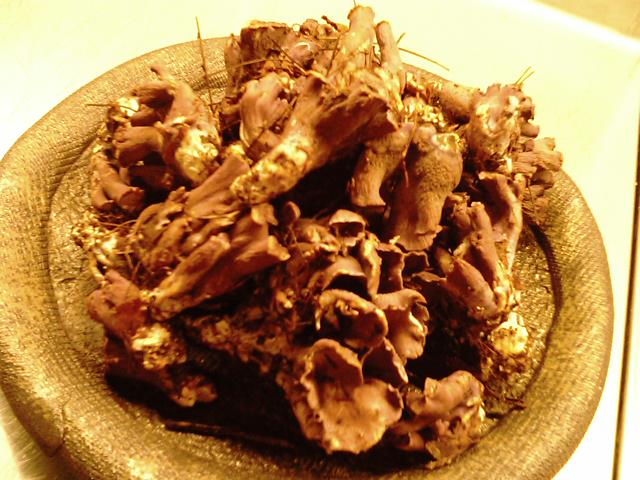 d0000919_822690.jpg