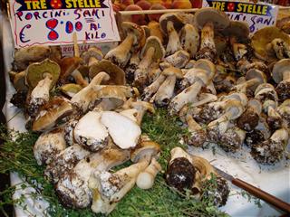 c0039428_22131788.jpg