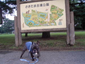 b0042230_21302795.jpg