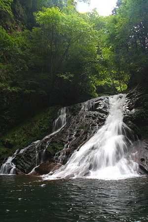 d0055236_1533291.jpg