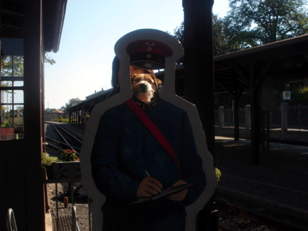 f0077150_6111490.gif