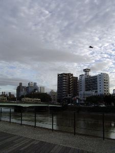 f0085850_2339146.jpg