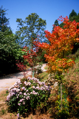 山寺_e0028952_011484.jpg