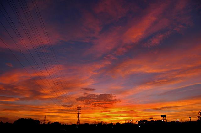a0044076_20274784.jpg