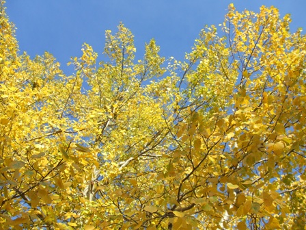 a0047577_20584143.jpg