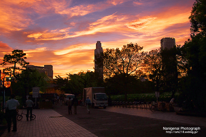 故郷の夕景_a0081685_2047249.jpg