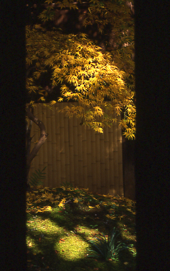 d0025894_004115.jpg