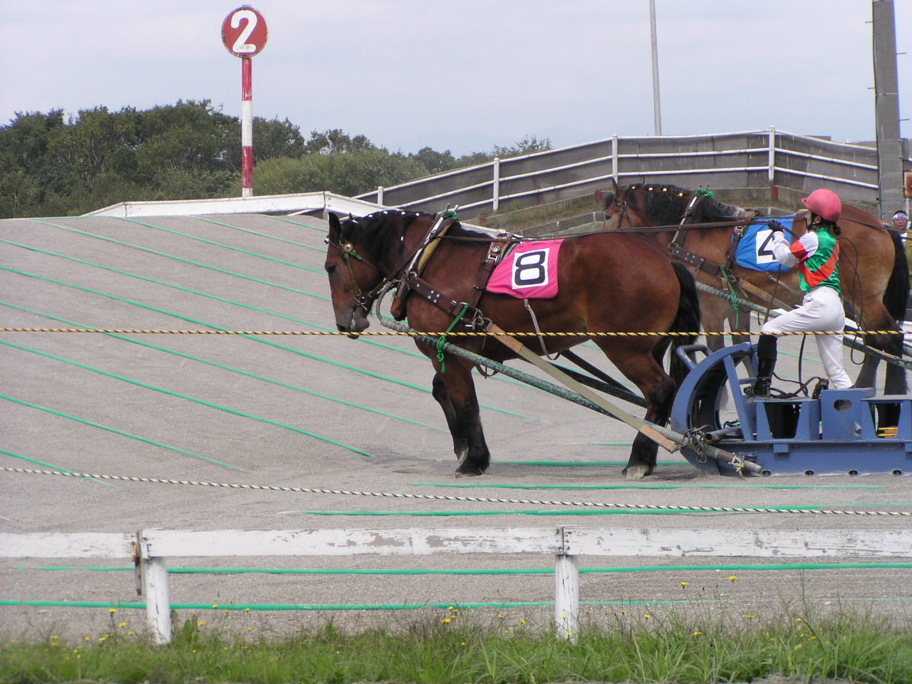 北の国へ Part.4 (ばんえい競馬初観戦)_b0093496_2143469.jpg