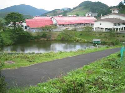 b0108100_22124648.gif
