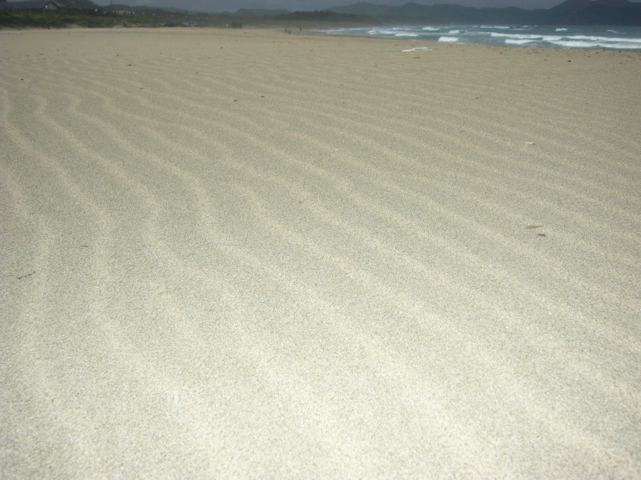 a0040929_11393354.jpg