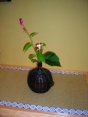 f0063931_11155349.jpg