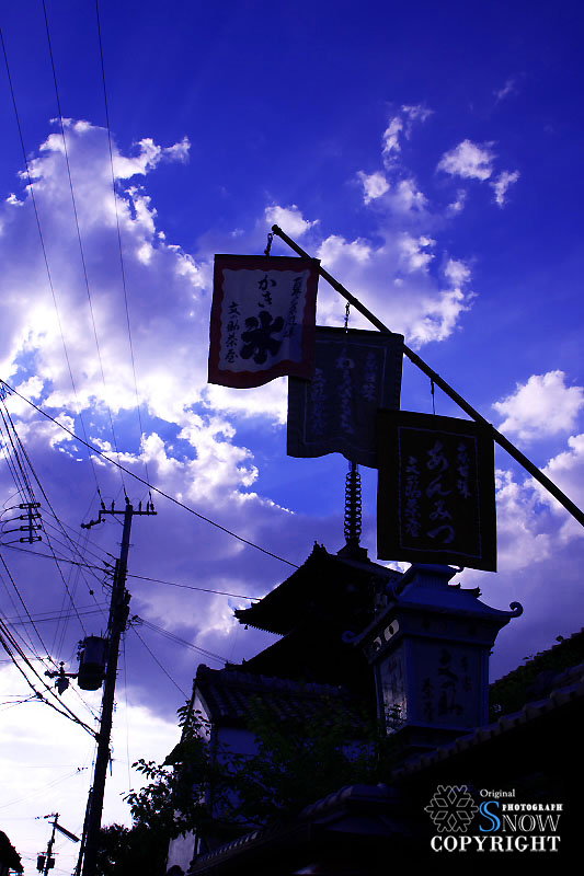 京都・高台寺 2_f0005935_10101.jpg