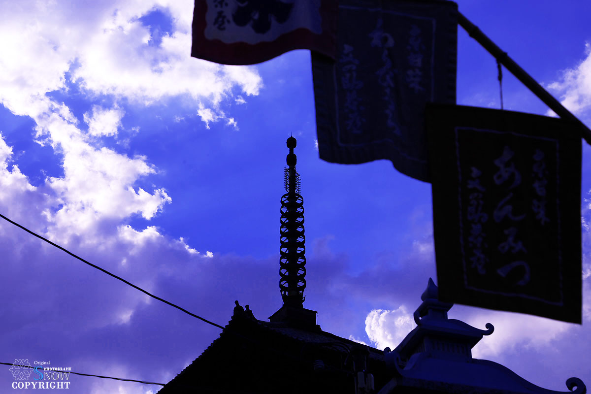 京都・高台寺 2_f0005935_1196.jpg