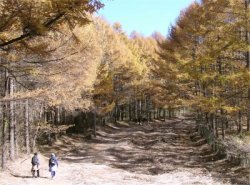 「風のたより秋号」の作業日_f0019247_16122191.jpg