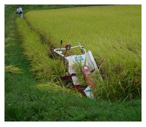 ４０年ぶりの移住者・・朽木針畑を堪能!_d0005250_19145294.jpg