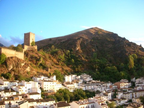e0061699_70229.jpg
