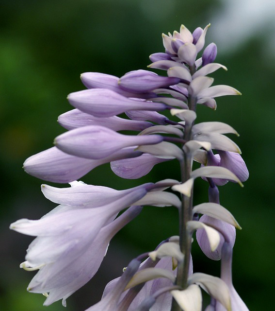 e0039703_0441237.jpg