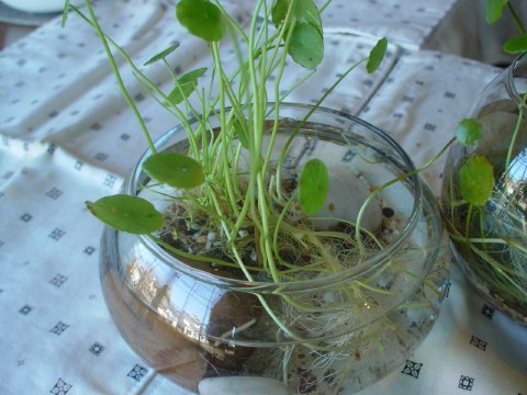 c0092610_11115626.jpg