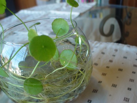 c0092610_1112888.jpg
