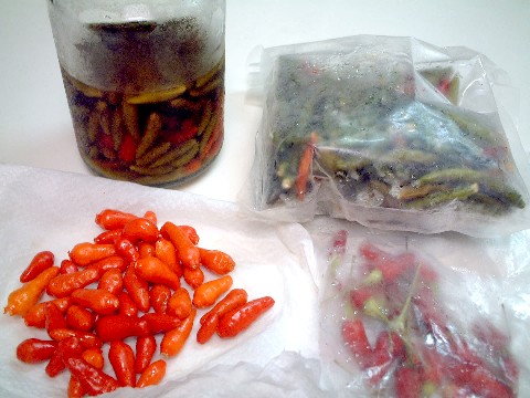 f0043911_033190.jpg