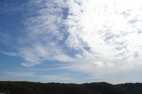 at Shimoda_d0079543_1522439.jpg