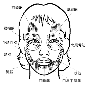 小頬骨筋が弱っている ひさおの独り言 シーズン3