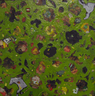 c0084251_13184027.gif