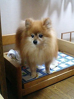 d0001854_12275361.jpg