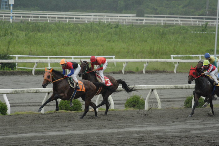 2006年9月17日（日） 高知競馬_a0077663_16244474.jpg