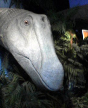 ユネスコ村 大恐竜探検館 コトバのタカラバコ