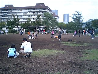 b0103668_2314914.jpg