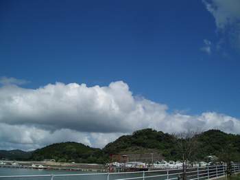 台風一過_a0077071_8262443.jpg