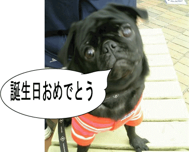 f0014371_7444689.gif