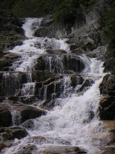 f0054075_15597.jpg