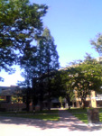 e0060483_13443692.jpg