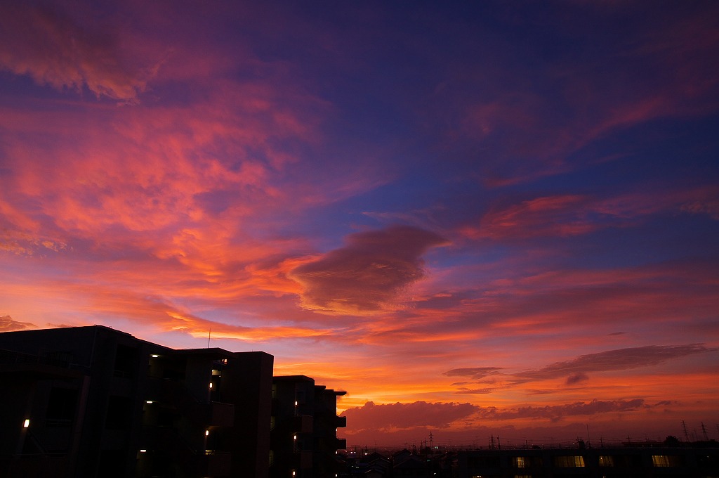 a0054691_15192264.jpg