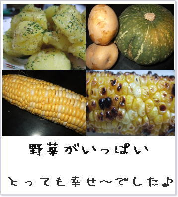 取れたて野菜_d0030994_0254564.jpg