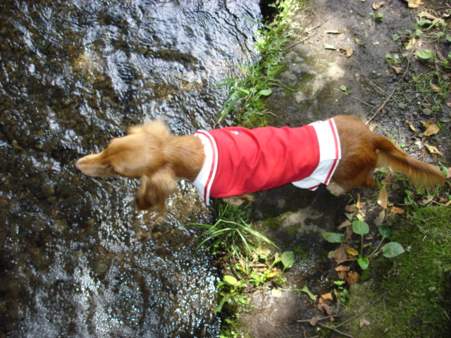 c0087001_23513481.jpg