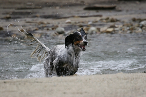 f0034602_20211383.jpg