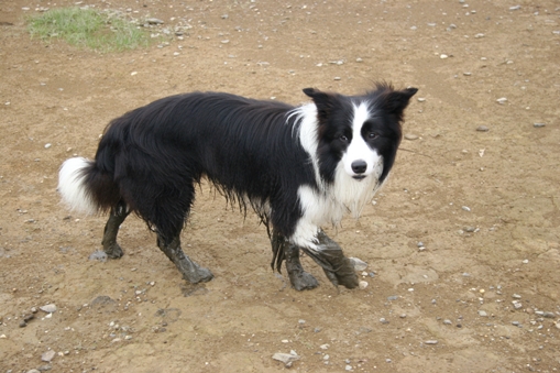 f0034602_20214862.jpg