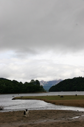 f0034602_20322314.jpg