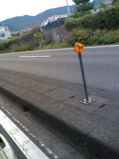 d0046905_1293117.jpg